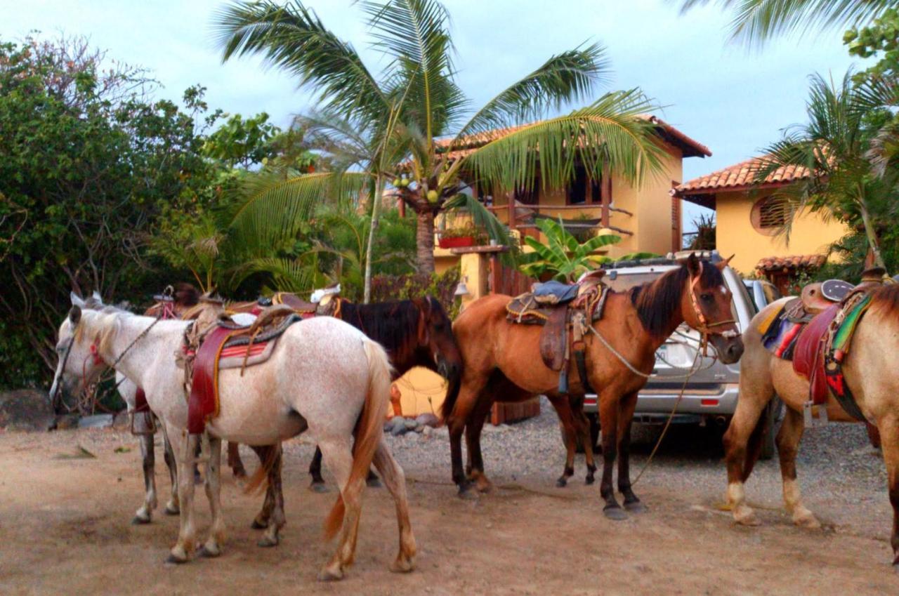 Troncones Point Hostel Bagian luar foto