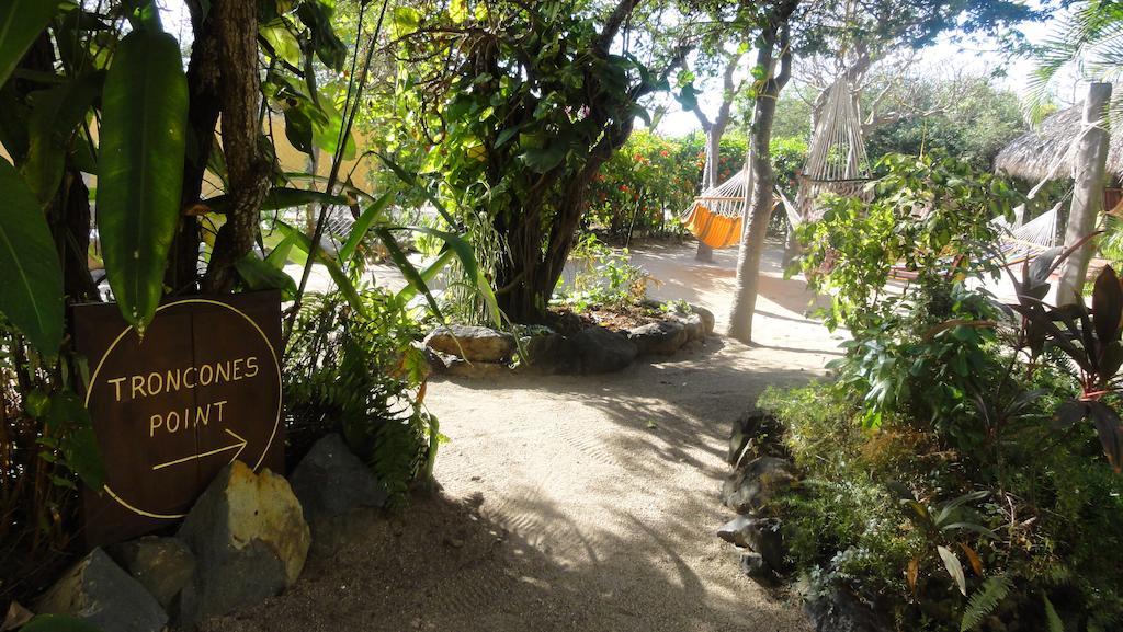 Troncones Point Hostel Bagian luar foto