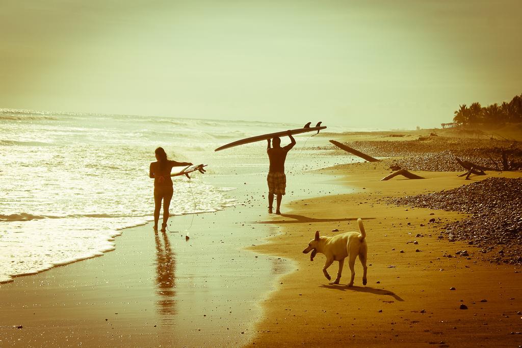 Troncones Point Hostel Bagian luar foto