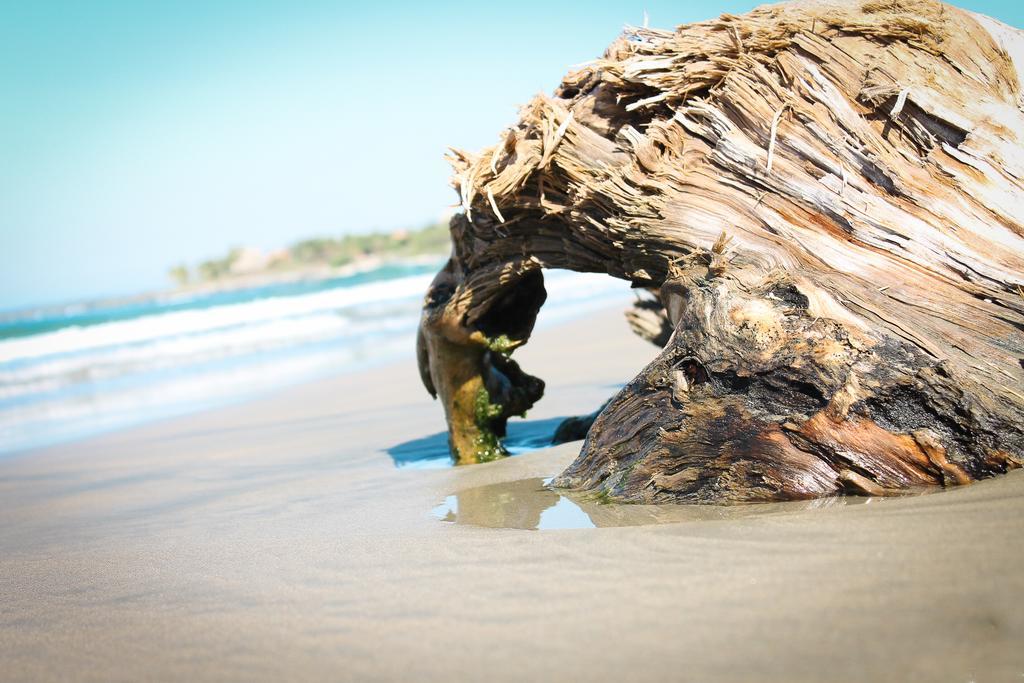 Troncones Point Hostel Bagian luar foto