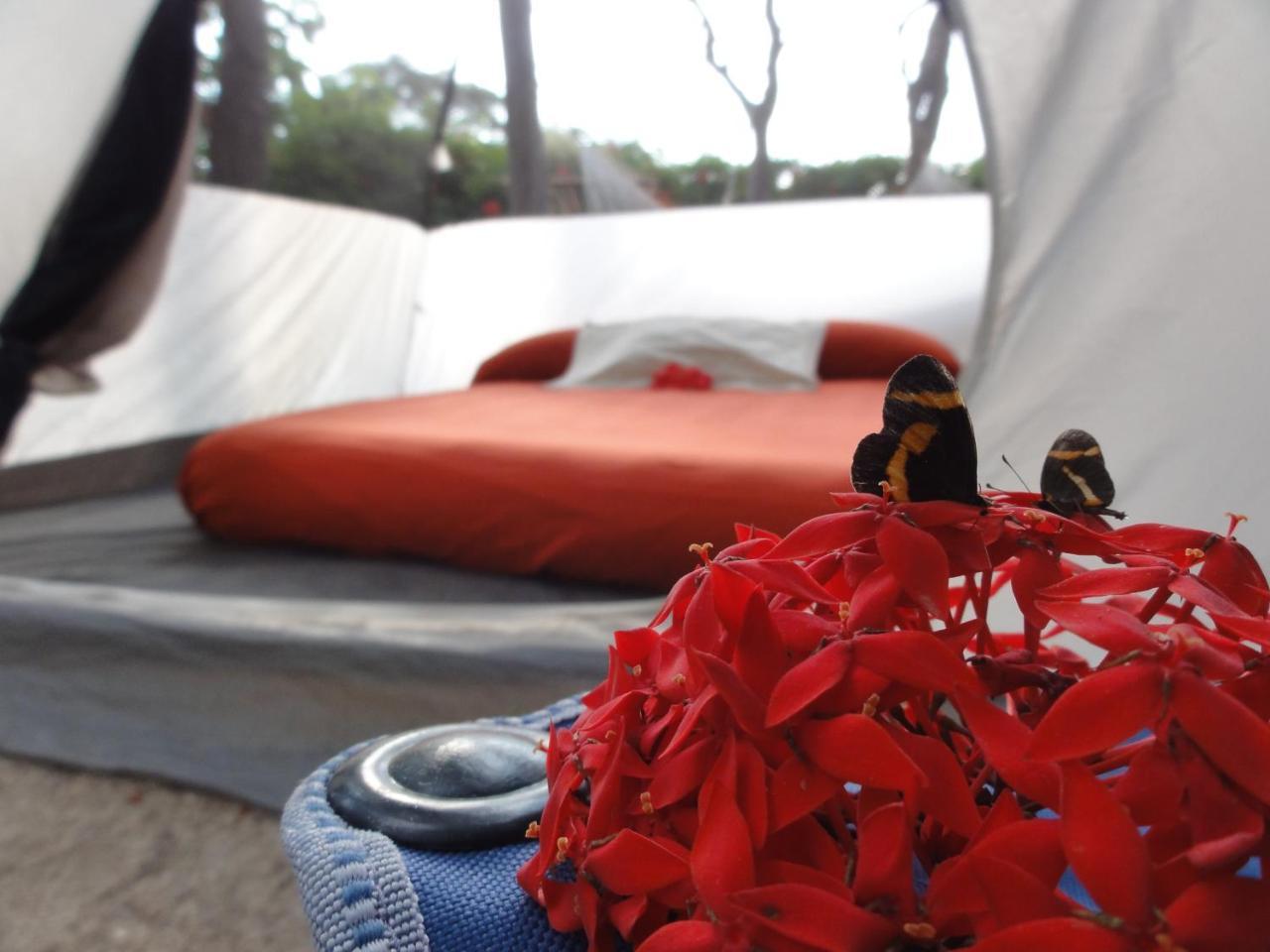 Troncones Point Hostel Bagian luar foto
